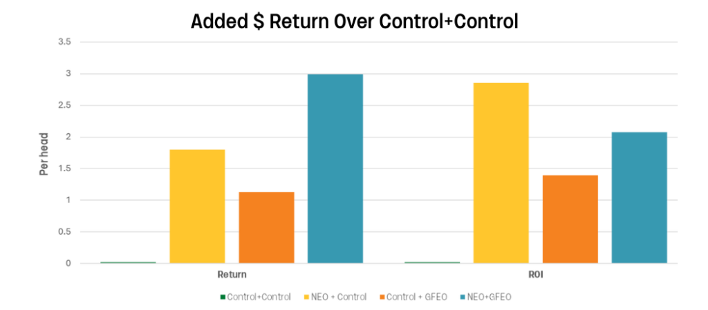 Bar chart titled "Added $ Return Over Control+Control" comparing Return and ROI per head for four groups: Control+Control, NEO+Control, Control+GFEO, and NEO+GFEO. NEO+Control shows the highest values.