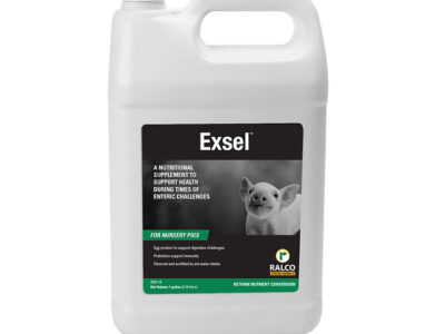 A white plastic gallon container labeled "Exsel," a nutritional supplement for nursery pigs featuring a piglet image on the front, with a handle on top.