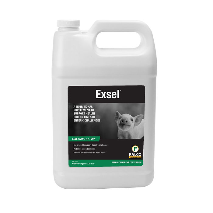 A white plastic gallon container labeled "Exsel," a nutritional supplement for nursery pigs featuring a piglet image on the front, with a handle on top.