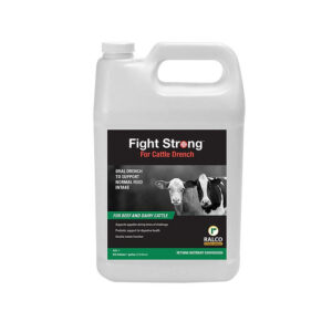 A 1-gallon white plastic jug labeled "Fight Strong Drench" by Ralco, featuring two cows, designed for beef and dairy cattle to support digestive health.