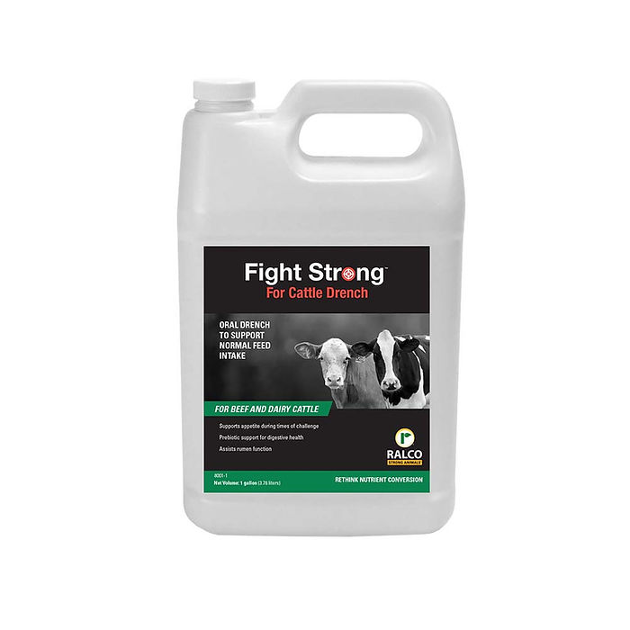 A 1-gallon white plastic jug labeled "Fight Strong Drench" by Ralco, featuring two cows, designed for beef and dairy cattle to support digestive health.