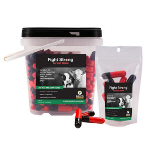 A container and pouch of Fight Strong for Calf Stress with a cow-themed label, plus several red and black capsules shown in front of the packaging.