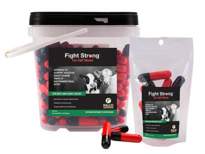 A container and pouch of Fight Strong for Calf Stress with a cow-themed label, plus several red and black capsules shown in front of the packaging.