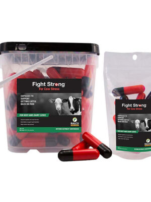 Two "Fight Strong for Cow Stress" containers—one large plastic tub and one resealable pouch—feature red and black capsules, cow images, and product details on the packaging.