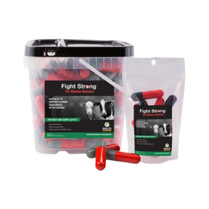 Plastic container and resealable pouch labeled “Fight Strong for Uterine Balance” by Ralco, shown with red, green, and black capsules; designed to support dairy and beef cattle after calving.