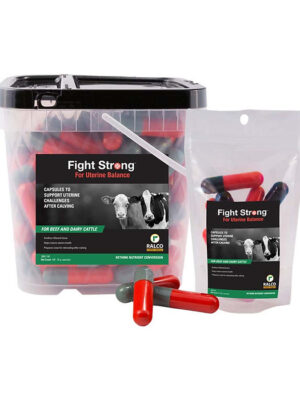 Plastic container and resealable pouch labeled “Fight Strong for Uterine Balance” by Ralco, shown with red, green, and black capsules; designed to support dairy and beef cattle after calving.