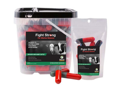 Plastic container and resealable pouch labeled “Fight Strong for Uterine Balance” by Ralco, shown with red, green, and black capsules; designed to support dairy and beef cattle after calving.