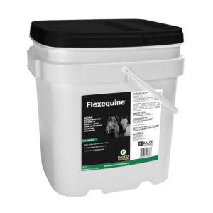 A white plastic Flexequine container with a black lid, handle, and images of two horses, featuring product information, designed for equine nutritional support.