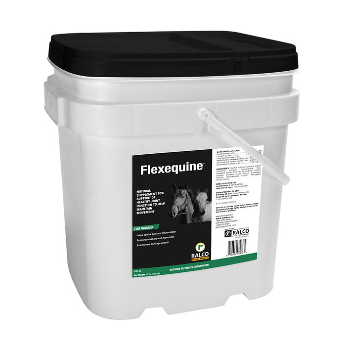 A white plastic Flexequine container with a black lid, handle, and images of two horses, featuring product information, designed for equine nutritional support.