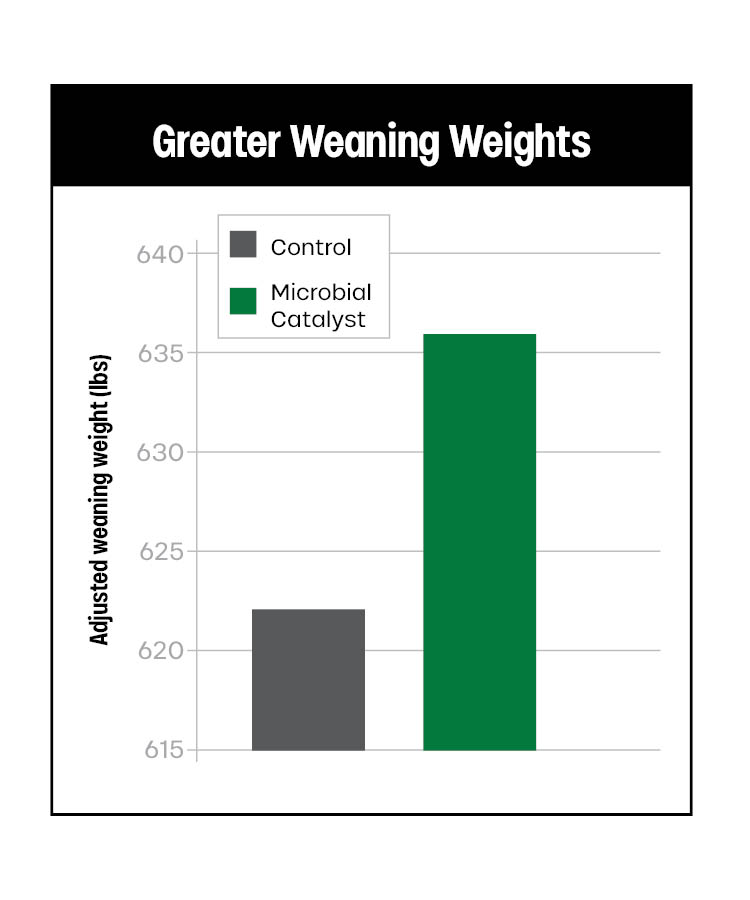 Bar graph titled "Greater Weaning Weights" shows adjusted weaning weight (lbs) for two groups: Control (~625 lbs, gray bar) and Microbial Catalyst (~635 lbs, green bar). The Microbial Catalyst group is higher.