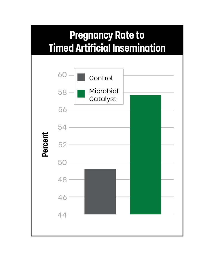 Bar graph comparing pregnancy rates for Timed Artificial Insemination: Control group at about 49%, and Microbial Catalyst group at about 58%. The Microbial Catalyst group shows a higher pregnancy rate.