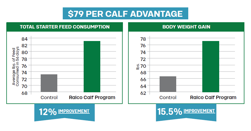 Two bar charts compare control and Ralco Calf Program groups. Ralco group shows higher starter feed consumption (84 lbs) and body weight gain (78 lbs), with 12% and 15.5% improvement, respectively. " per calf advantage" at top.