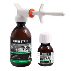Two bottles of Rapid Strike for Calf are shown; one has a dosing nozzle attached. Both feature black labels with images of calves and green and white text.