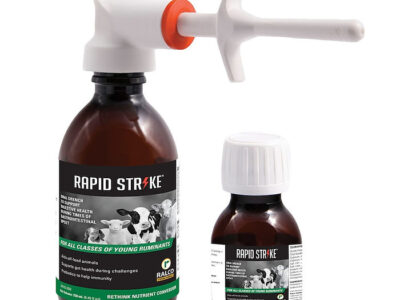 Two bottles of Rapid Strike for Calf are shown; one has a dosing nozzle attached. Both feature black labels with images of calves and green and white text.