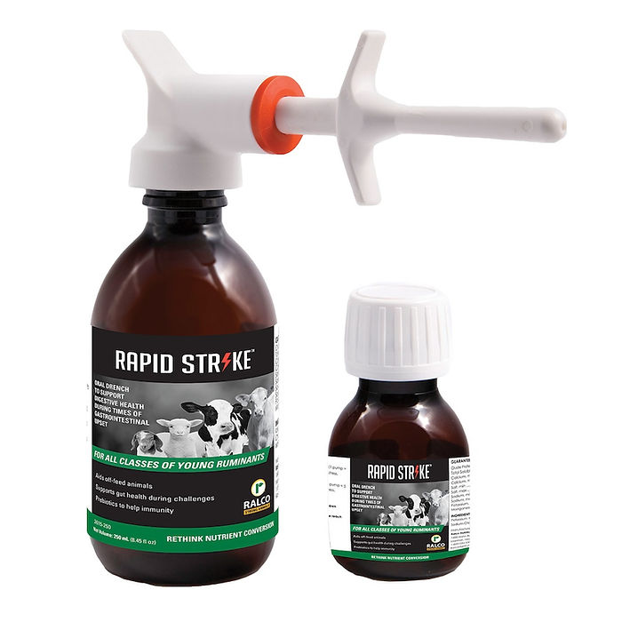 Two bottles of Rapid Strike for Calf are shown; one has a dosing nozzle attached. Both feature black labels with images of calves and green and white text.