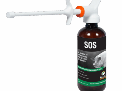 A brown SOS bottle with a long white nozzle for oral drenching in pigs; the label has a pig image and details about nutrient solutions for swine.