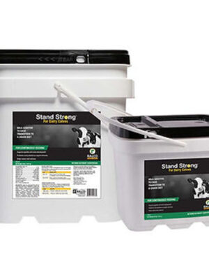 Two white plastic containers with black lids and handles are labeled "Stand Strong for Dairy Calves," featuring a cow image and product details on the front.