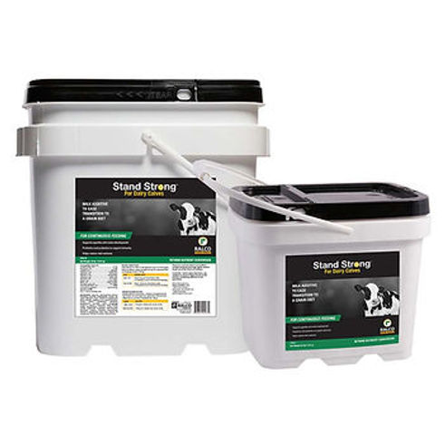 Two white plastic containers with black lids and handles are labeled "Stand Strong for Dairy Calves," featuring a cow image and product details on the front.