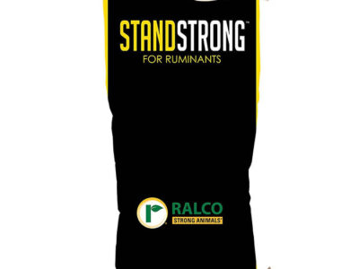 A black Stand Strong for Ruminants for Cow/Calf bag with yellow text.