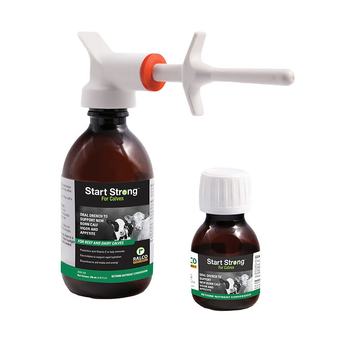 Two bottles of Start Strong for Calves for Dairy Calves: one with a white dosing syringe attached and one smaller bottle with a white cap, both with green and black labels featuring images of calves.