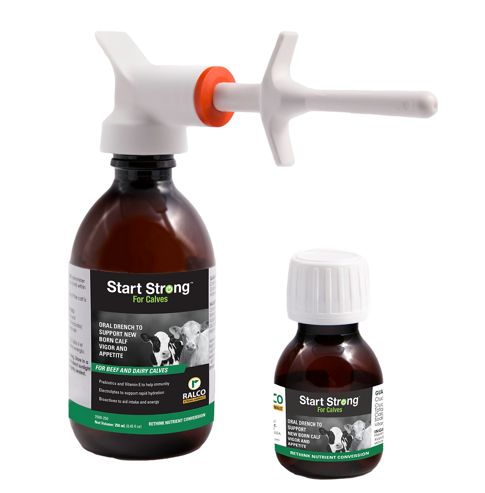 Two brown Start Strong for Calves bottles are shown—one with a white dosing syringe, the other with a white cap. Both feature labels displaying images of calves and green-highlighted text.