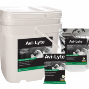 Three containers of Avi-Lyte water additive for poultry are shown: a large white bucket with a handle, a foil packet, and a smaller sachet, each with a label featuring birds and the Ralco logo.
