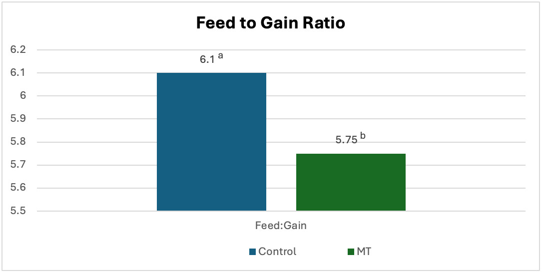 Bar graph titled "Feed to Gain Ratio." Control group shows a ratio of 6.1, and MT group shows 5.75. Control bar is taller than MT. Superscript letters 'a' and 'b' are above the respective bars.
