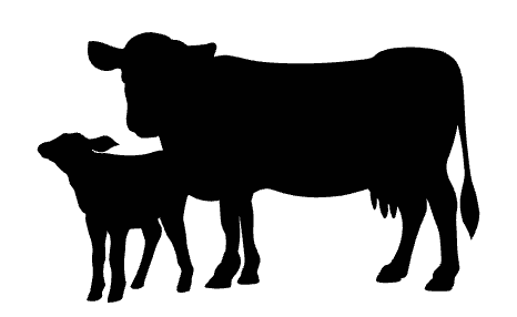 Silhouette of an adult cow standing beside a smaller calf, both facing left.