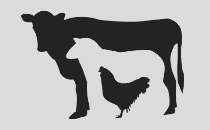 Silhouette of a cow with the shapes of a sheep and a chicken cut out inside its body, all in black on a light gray background.