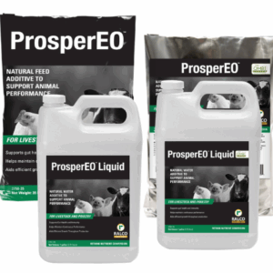 Two large containers and two bags of ProsperEO animal feed additive products are shown, featuring images of livestock on the labels. The packaging highlights that the product supports animal performance.