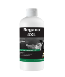 A white bottle labeled "Regano 4XL" with images of a pig, chicken, and cow, indicating it is a livestock and poultry supplement. The bottle has a white cap and green accent on the label.