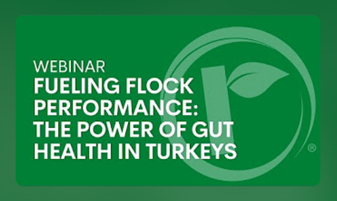 Green graphic with white text that reads: "Webinar Fueling Flock Performance: The Power of Gut Health in Turkeys." A stylized leaf logo appears on the right side of the image.