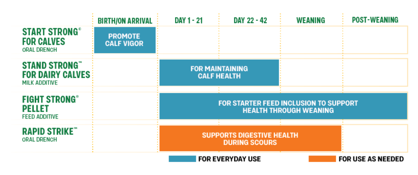 A chart shows four calf supplements and their recommended use from birth through post-weaning, with color bars indicating timing and purpose: Start Strong, Stand Strong, Fight Strong Pellet, and Rapid Strike.