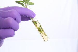 A gloved hand holds a test tube containing a yellow liquid and green leaves, suggesting a scientific experiment with plants.