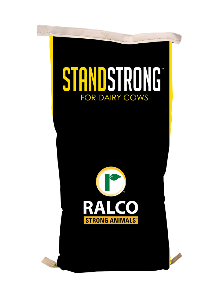 A black and yellow feed bag labeled "STANDSTRONG for Dairy Cows" with the Ralco logo and the phrase "Strong Animals" on the front.