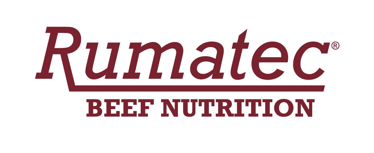 The logo features the word "Rumatec" in large maroon text with a line extending from the "R," and "BEEF NUTRITION" in bold, capital maroon letters underneath.