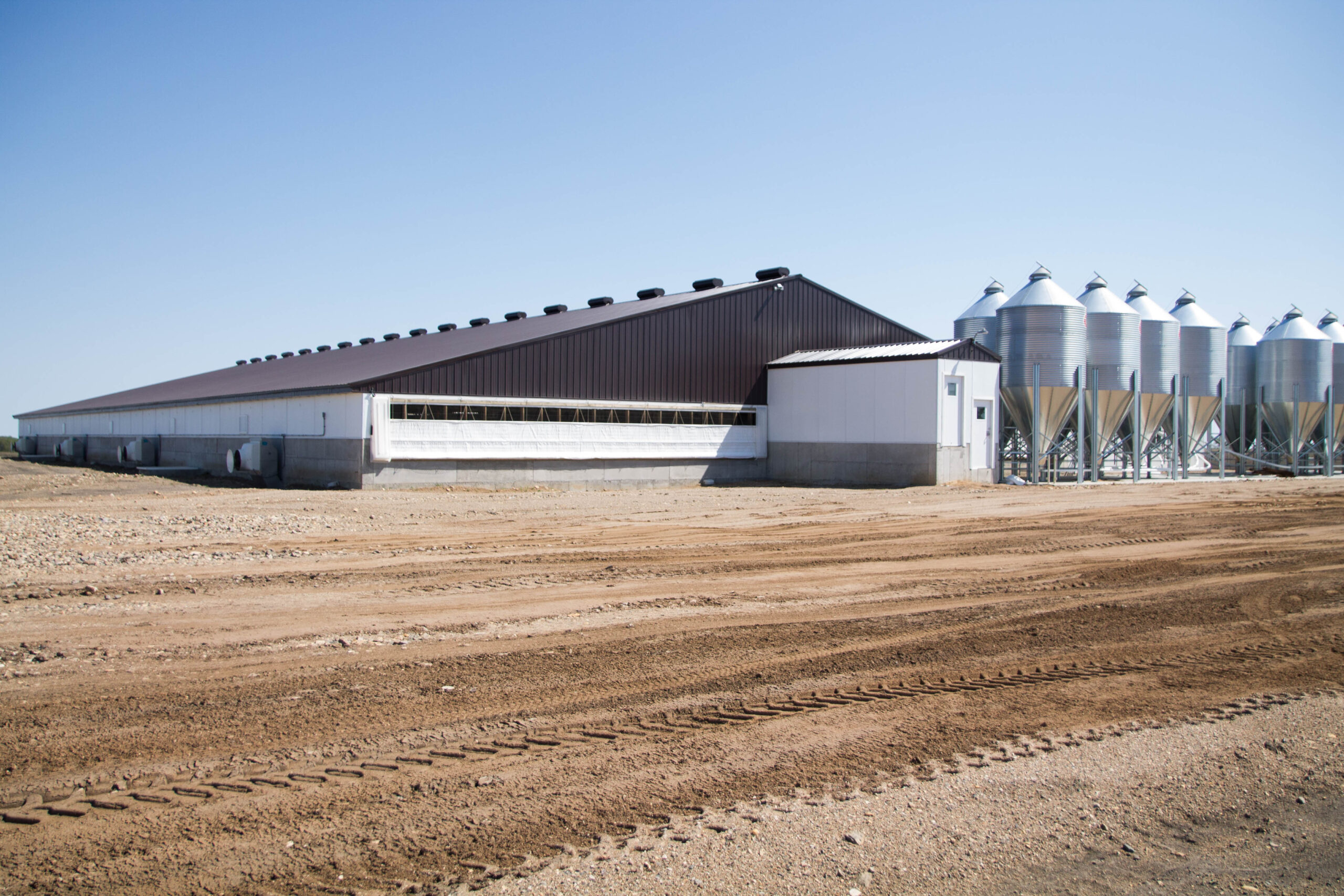 A large, modern agricultural building with a brown roof sits on a dirt lot. Multiple metal grain silos are lined up beside it under a clear blue sky. Tire tracks are visible on the ground in the foreground.