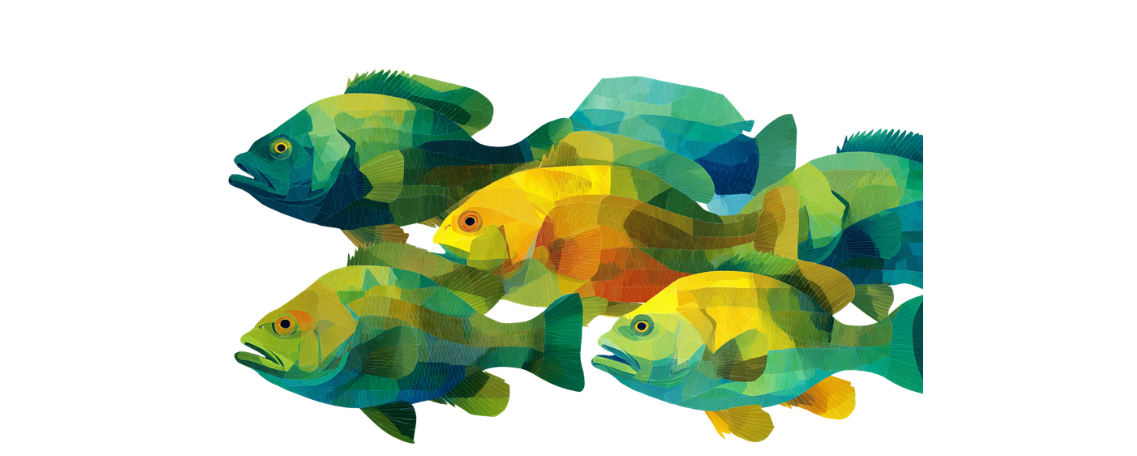 An illustration of five colorful fish with layered, overlapping shapes in shades of green, blue, and yellow, set against a plain white background. One fish in the center is bright yellow, standing out among the others.
