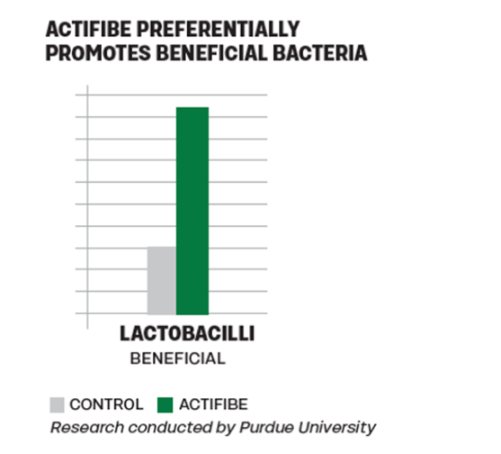 Bar graph showing Actifibe increases lactobacilli (beneficial bacteria) more than the control. Green bar (Actifibe) is much taller than the gray bar (Control). Source: Purdue University research.